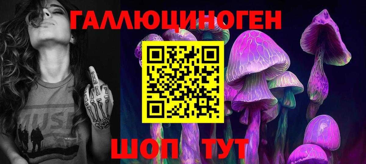 Елизово  Псилоцибиновые грибы прущие грибы  Вход с VPN  Псилоцибиновые грибы MAGIC MUSHROOMS 